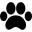 Animaux acceptés (conditions)